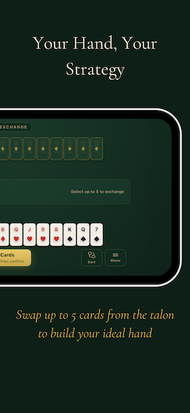 Piquet Pro Screenshot 2